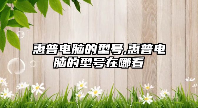 惠普電腦的型號,惠普電腦的型號在哪看