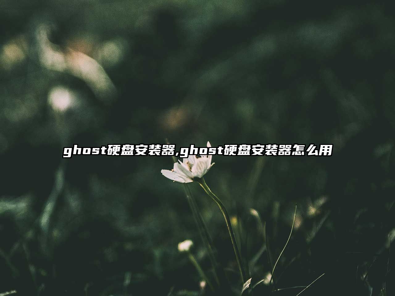 ghost硬盤安裝器,ghost硬盤安裝器怎么用