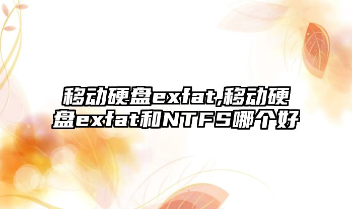 移動硬盤exfat,移動硬盤exfat和NTFS哪個好