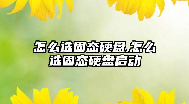 玉翠科技網