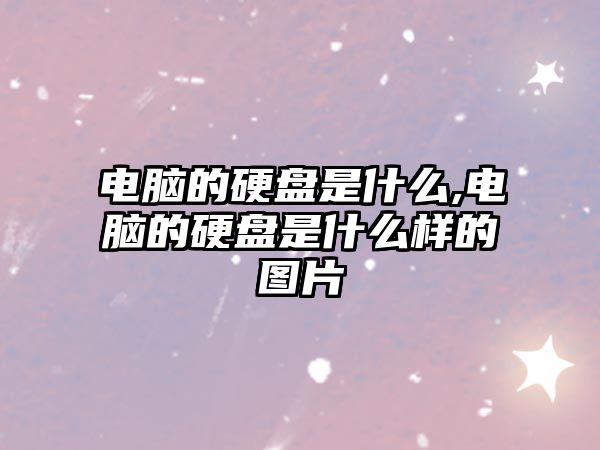 電腦的硬盤是什么,電腦的硬盤是什么樣的圖片