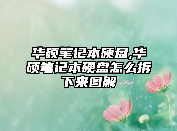 玉翠科技網