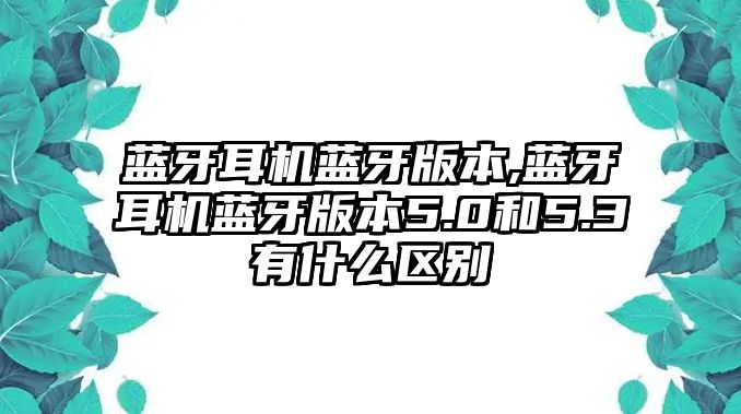 藍牙耳機藍牙版本,藍牙耳機藍牙版本5.0和5.3有什么區別