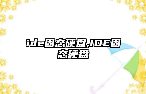 ide固態硬盤,IDE固態硬盤