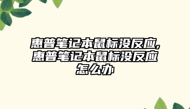 惠普筆記本鼠標沒反應,惠普筆記本鼠標沒反應怎么辦