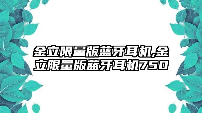 金立限量版藍牙耳機,金立限量版藍牙耳機750