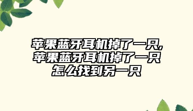 蘋果藍牙耳機掉了一只,蘋果藍牙耳機掉了一只怎么找到另一只