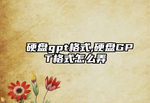 硬盤gpt格式,硬盤GPT格式怎么弄